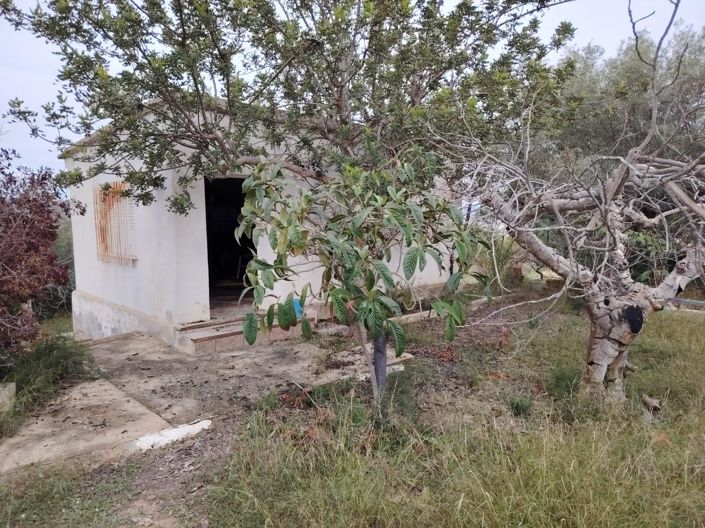 Image No.19-5 Bed Country House for sale