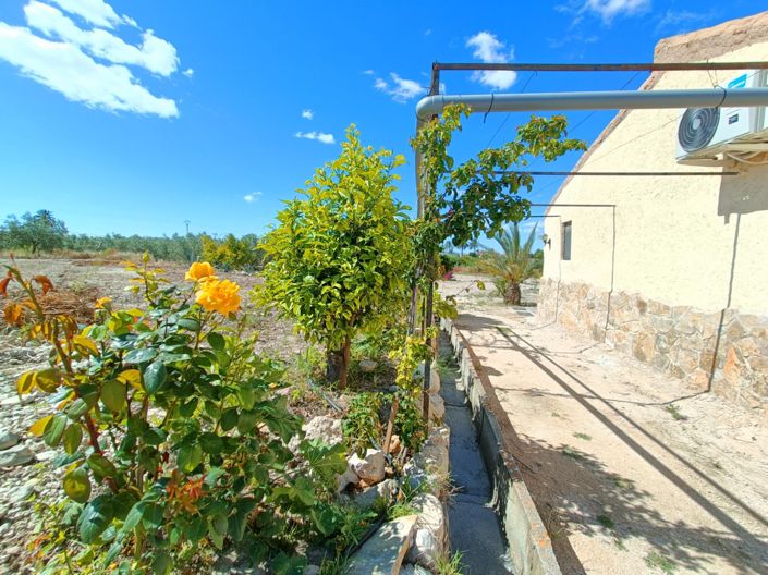 Image No.7-3 Bed Country House for sale