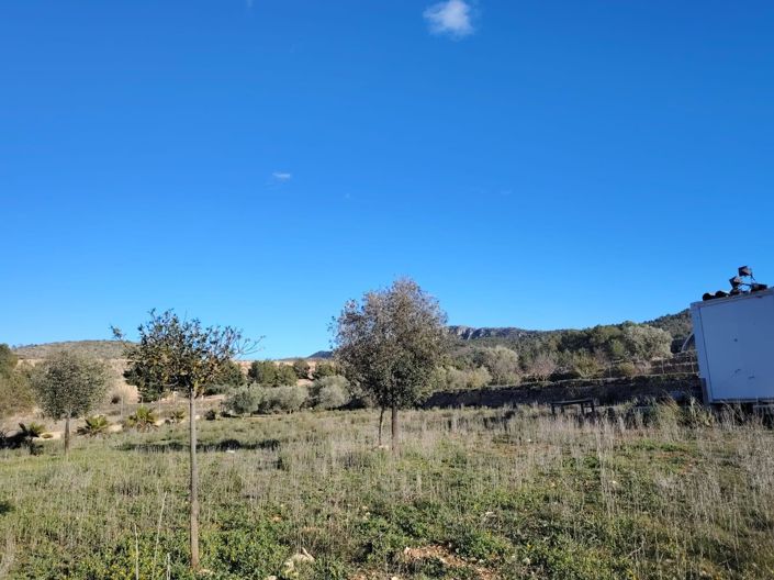 Image No.3-Plot for sale