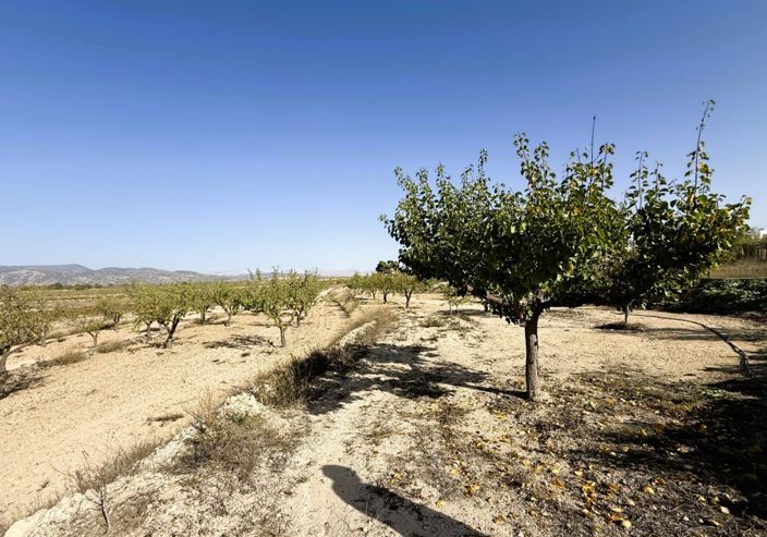 Image No.25-4 Bed Country House for sale