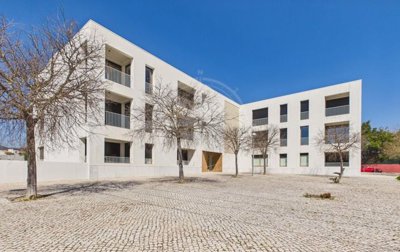 1987-369538-0086b5b4f2b294297643049c268e89554