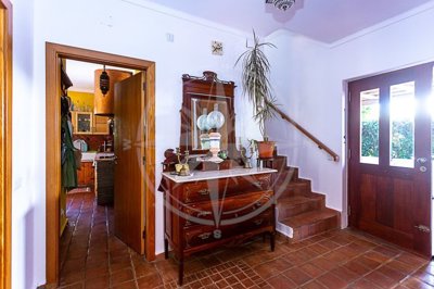 1987-371372-0086b5b4f2b294297643049c268e89554