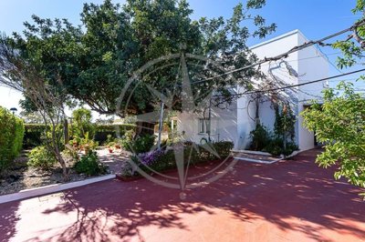 1987-371372-0086b5b4f2b294297643049c268e89554