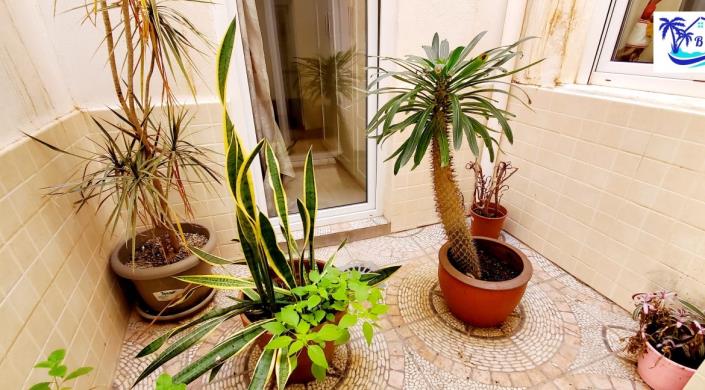 Image No.14-Maison de 4 chambres à vendre à Algarrobo