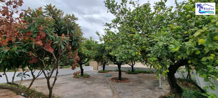 Image No.38-5 Bed Village House for sale