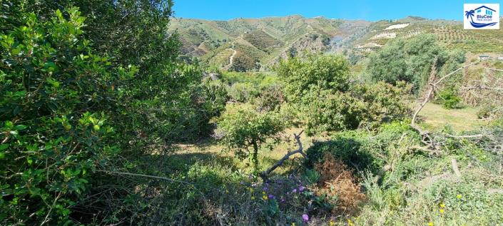 Image No.23-Maison de campagne de 2 chambres à vendre à Benamargosa
