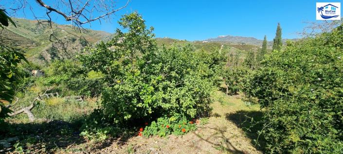 Image No.22-Maison de campagne de 2 chambres à vendre à Benamargosa