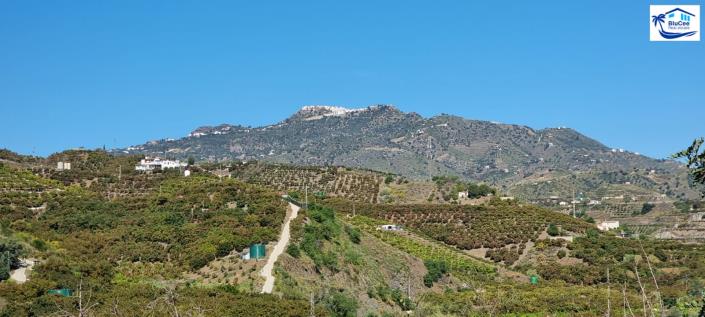 Image No.32-Maison de campagne de 2 chambres à vendre à Benamargosa