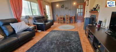 Fors-Sale-Independent-Villa-in-Rubite--Malaga--16-