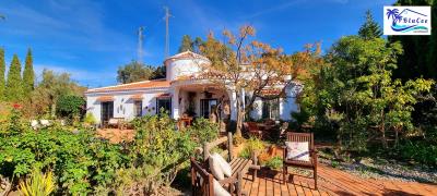 For-Sale-Countryside-Villa-in-Sayalonga--Malaga--Andalusia--Costa-del-Sol--3-
