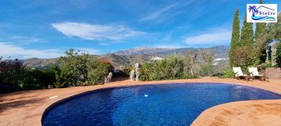 For-Sale-Countryside-Villa-in-Sayalonga--Malaga--Andalusia--Costa-del-Sol--57-
