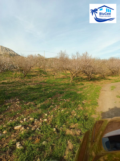 Image No.23-Maison de 2 chambres à vendre à Colmenar