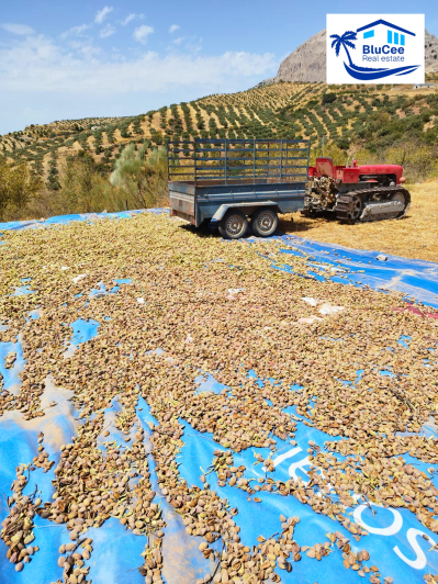 Image No.22-Maison de 2 chambres à vendre à Colmenar