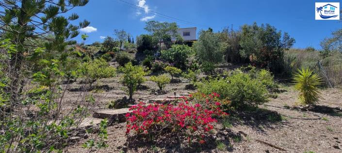 Image No.41-Maison de campagne de 3 chambres à vendre à Canillas de Aceituno
