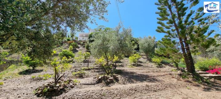 Image No.42-Maison de campagne de 3 chambres à vendre à Canillas de Aceituno