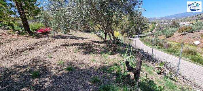 Image No.43-Maison de campagne de 3 chambres à vendre à Canillas de Aceituno
