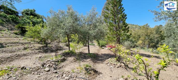 Image No.44-Maison de campagne de 3 chambres à vendre à Canillas de Aceituno