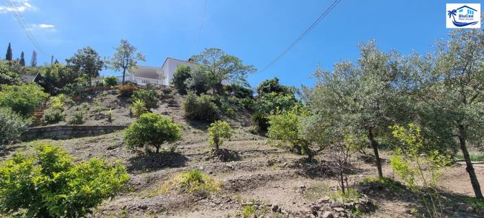 Image No.45-Maison de campagne de 3 chambres à vendre à Canillas de Aceituno