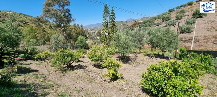 Image No.46-Maison de campagne de 3 chambres à vendre à Canillas de Aceituno