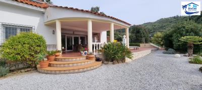 BluCee Real Estate most sold property