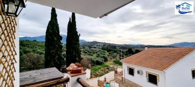 BluCee Real Estate most sold property
