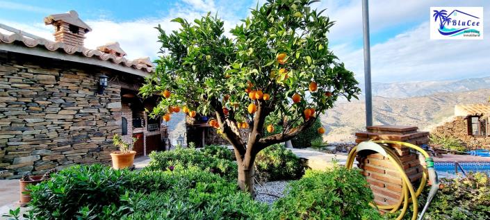 Image No.23-6 Bed House/Villa for sale