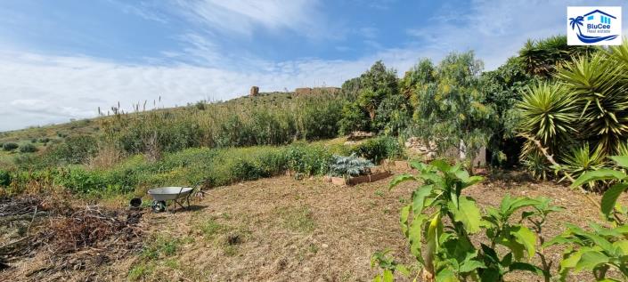 Image No.40-Maison / Villa de 3 chambres à vendre à Alcaucín