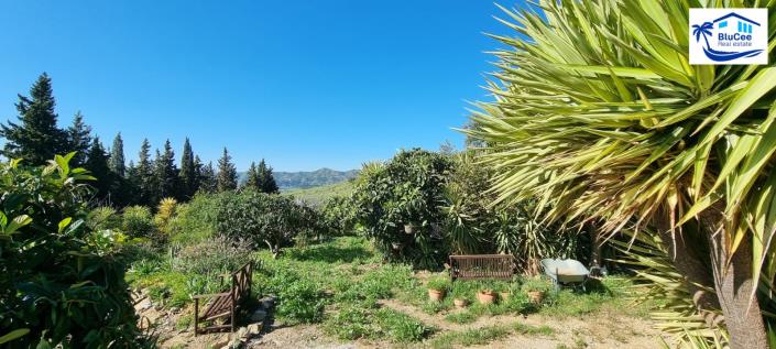 Image No.42-Maison / Villa de 3 chambres à vendre à Alcaucín