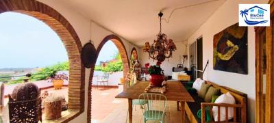 For-Sale-Independent-Cortijo-in-Almayate--La-Axarquia--Costa-del-Sol--Malaga--12-