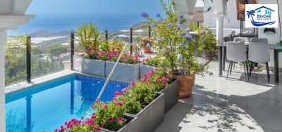 For-Sale-Renovated-Detached-House-in-Gualchos--Granada--Costa-Tropical--5-