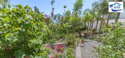 For-Sale-Renovated-Detached-House-in-Gualchos--Granada--Costa-Tropical--6-