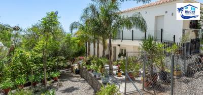 For-Sale-Renovated-Detached-House-in-Gualchos--Granada--Costa-Tropical--8-