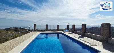 For-sale-house-with-mangos--2-