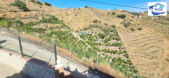 Image No.18-Maison de campagne de 2 chambres à vendre à Torrox