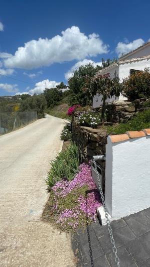 Image No.35-3 Bed Country House for sale