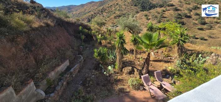 Image No.39-2 Bed Country House for sale