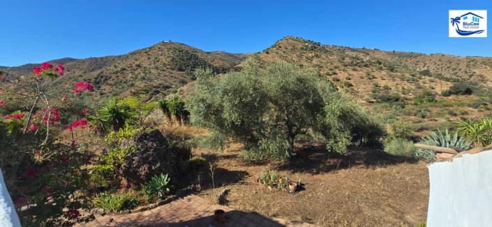 Image No.38-2 Bed Country House for sale