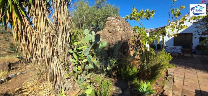 Image No.42-2 Bed Country House for sale