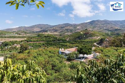 For-Sale-One-Level-Luxury-Finca-and-Plantation-with-Guest-Accommodation-near-Velez-Malaga---BluCee-Real-Estate--11-