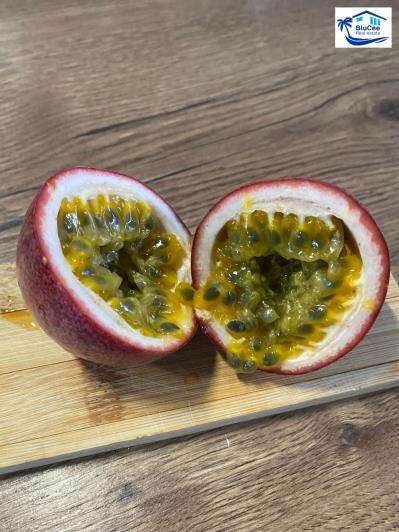 Image No.30-3 Bed Country House for sale