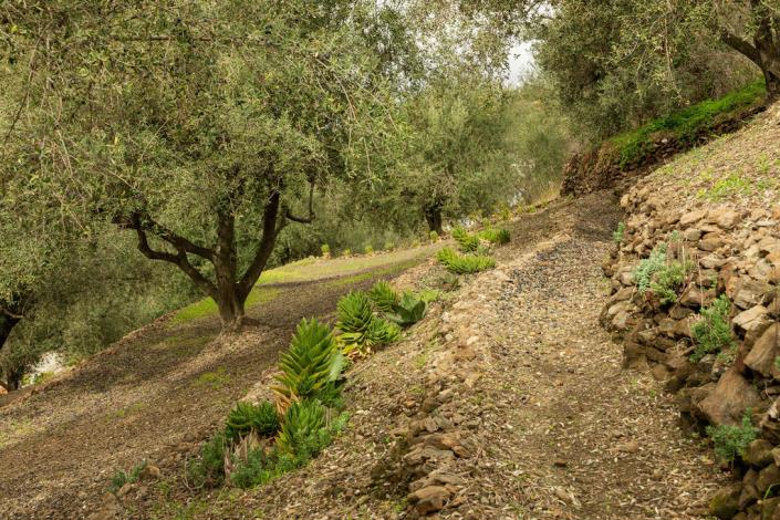 Image No.53-4 Bed House/Villa for sale