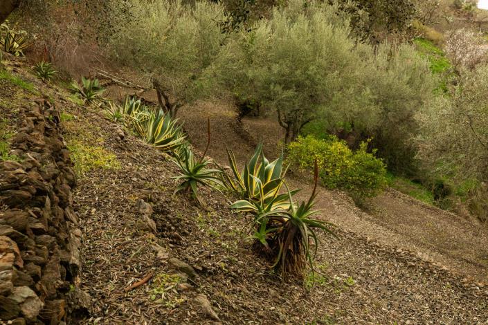 Image No.54-4 Bed House/Villa for sale