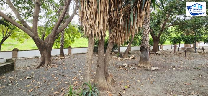 Image No.45-3 Bed Townhouse for sale