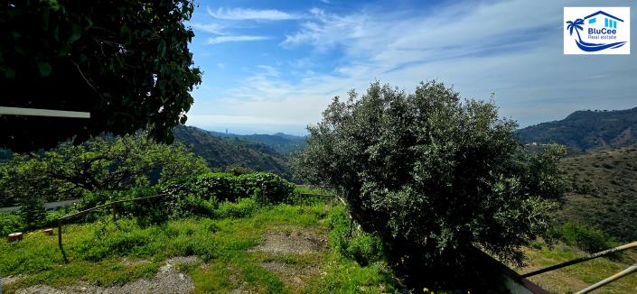 Image No.46-3 Bed Country House for sale