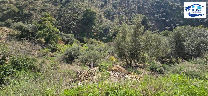 Image No.43-3 Bed Country House for sale