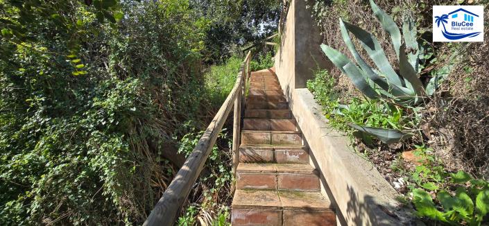 Image No.39-3 Bed Country House for sale