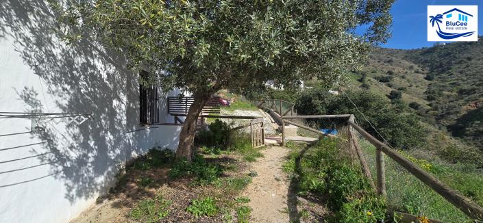 Image No.44-3 Bed Country House for sale