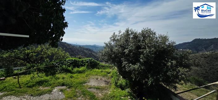 Image No.41-3 Bed Country House for sale