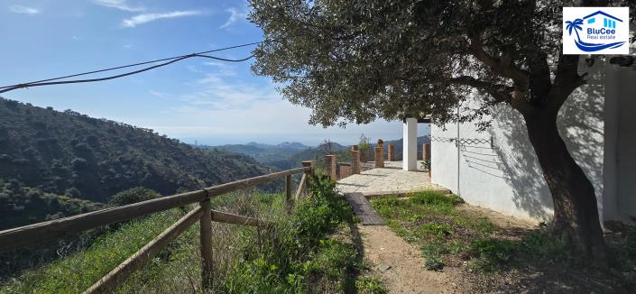 Image No.40-3 Bed Country House for sale