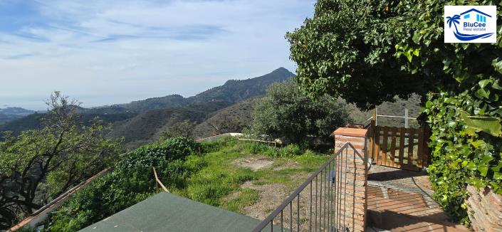 Image No.52-3 Bed Country House for sale